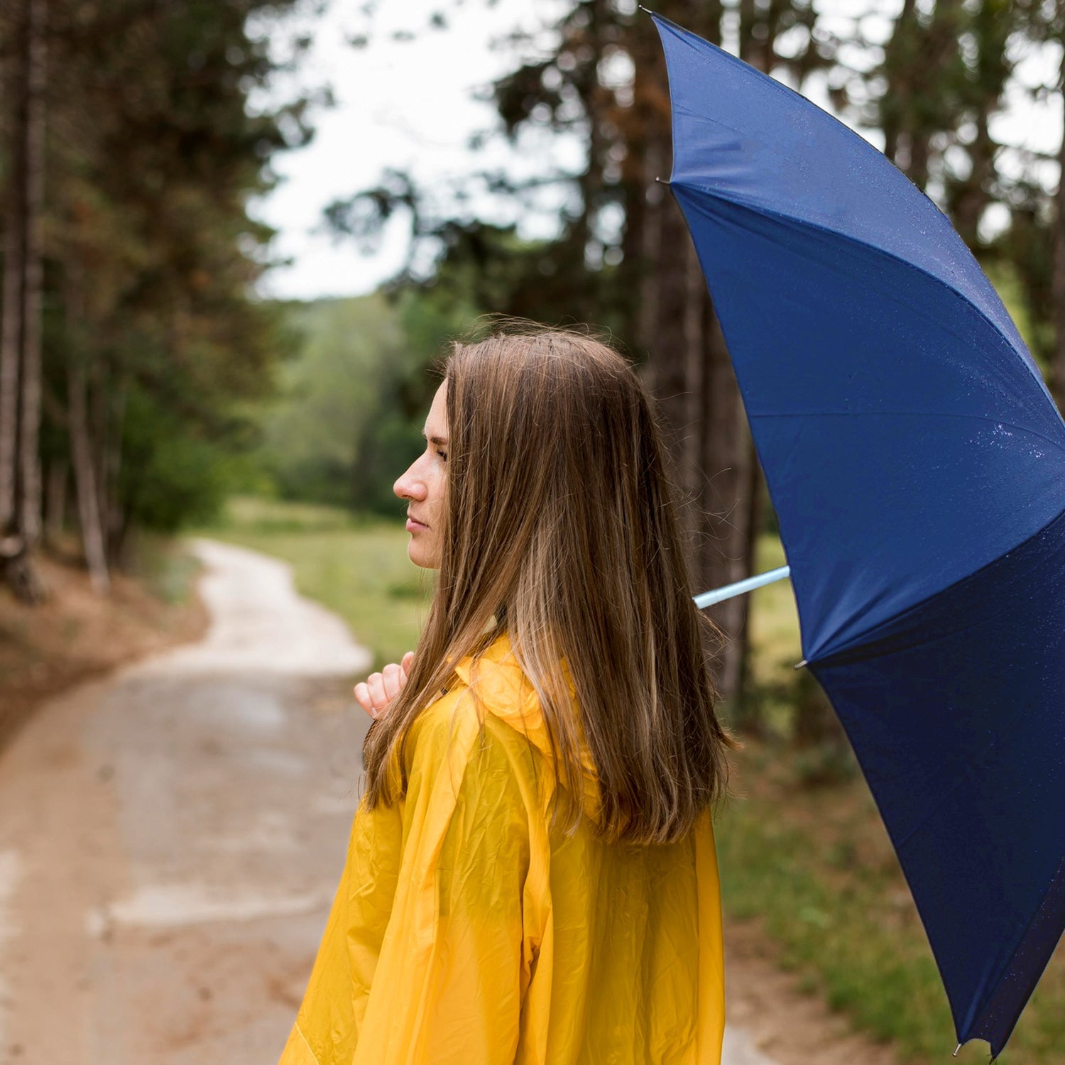 Classic 3 Fold Umbrella - Blue