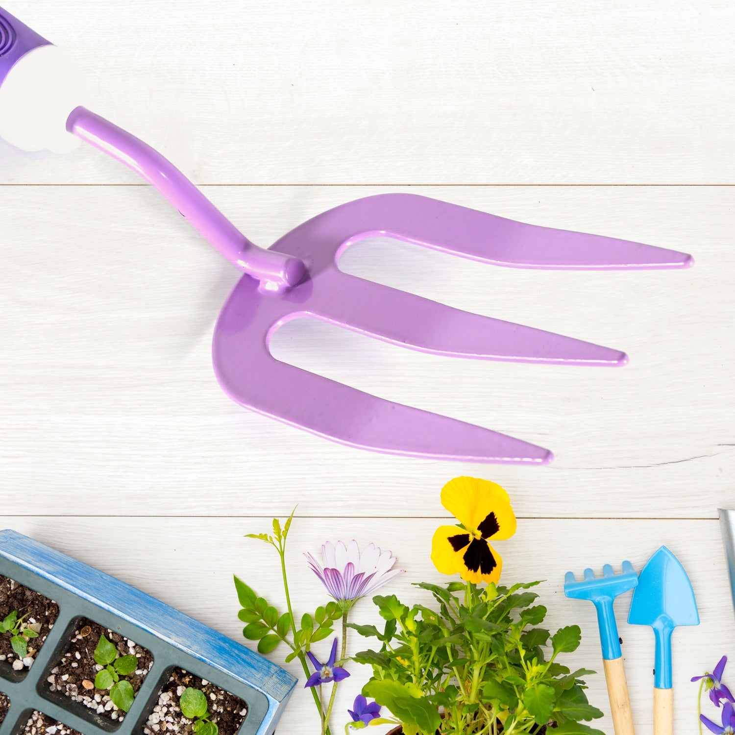 Pogrovea Gardening Rake-Purple