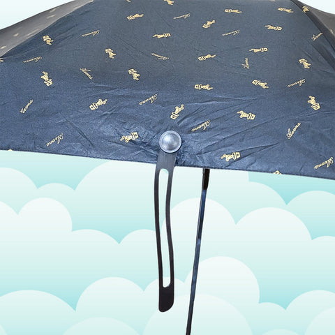 Premium 3 Fold Umbrella with Case