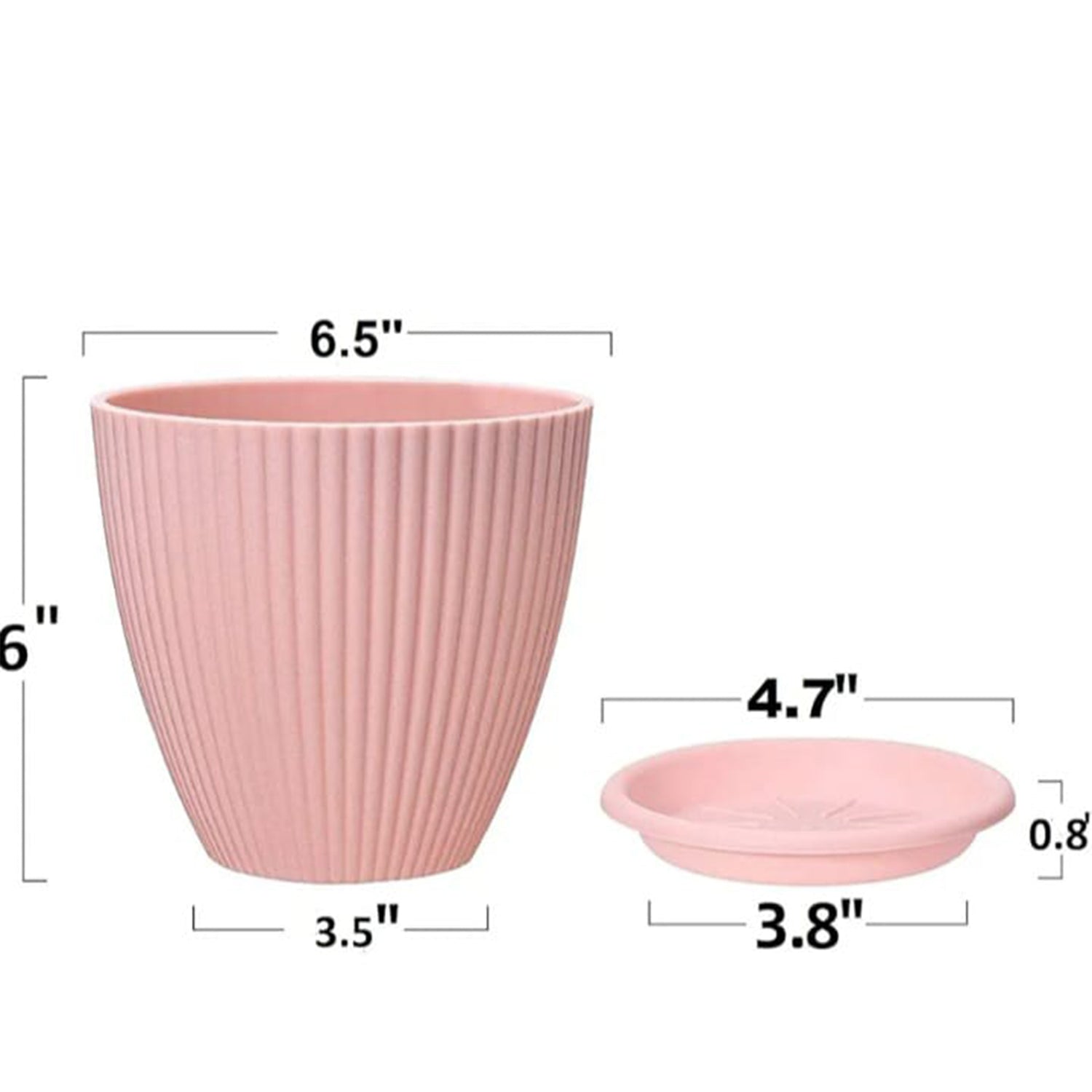 Pogrovea BloomEase Pots n Trays- 5