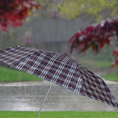 Classic 3 Fold Umbrella - Check